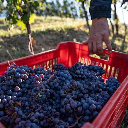 Agriturismo Antichi Poderi Gallina Нейве Екстериор снимка