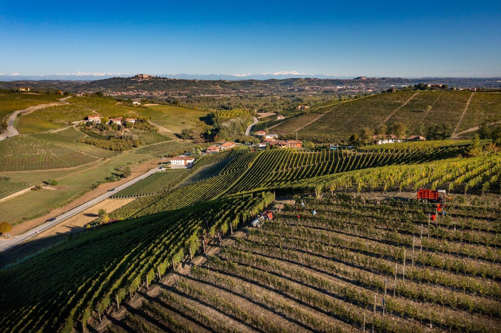 Agriturismo Antichi Poderi Gallina Нейве Екстериор снимка